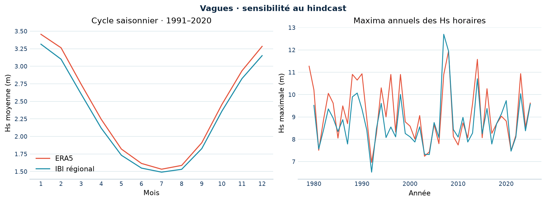 ERA5 et le hindcast régional IBI